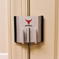 THE DOOR BULL THE DOOR BULL